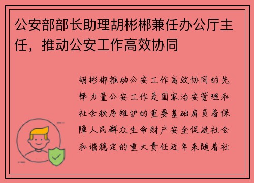 公安部部长助理胡彬郴兼任办公厅主任，推动公安工作高效协同